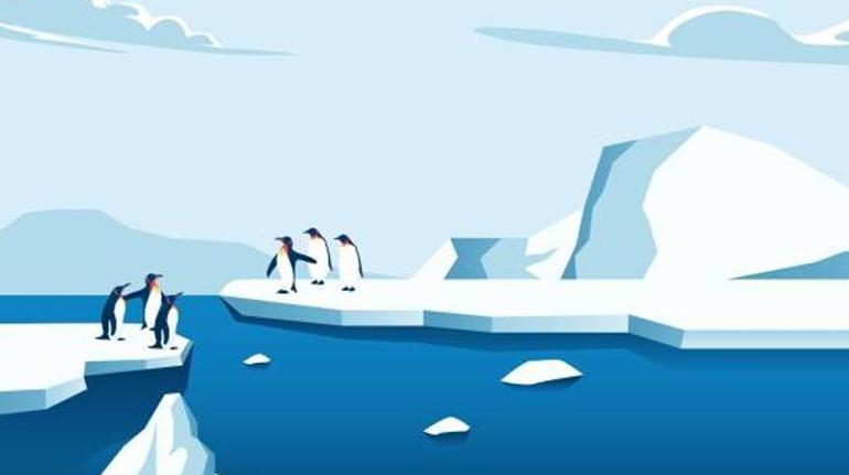 Penguen sayıcısı mı Gerçekten mi