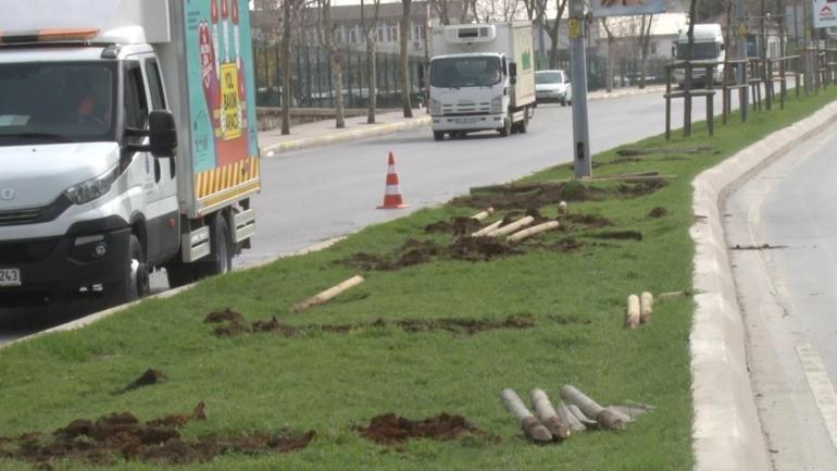 Ataşehirde İBBnin ağaçları sökmesi tepki çekti