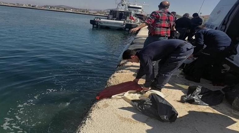 Yunanistan’a götürülmek istenen 1 ton kaçak midye ele geçirildi