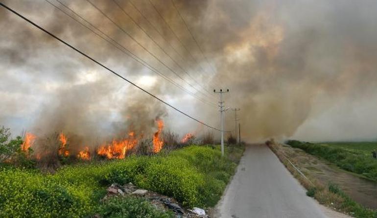 Antalyada sazlık yangını