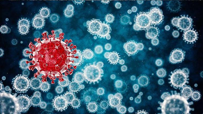 Araştırmada çarpıcı sonuç Koronavirüsün bilinmeyen semptomları açıklandı