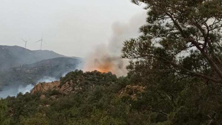 Bodrumda orman ve makilik yangını