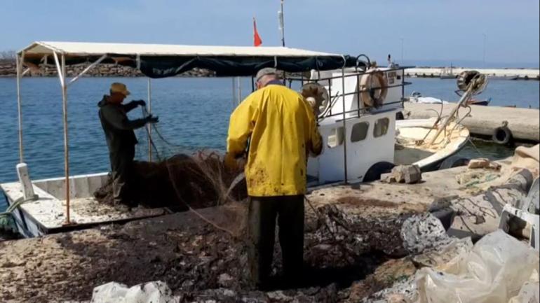 Saros Körfezinde balıkçıları tedirgin eden görüntü