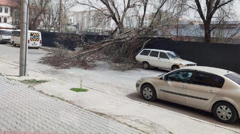 Konyada kum fırtınası Saatteki hızı 70 kilometreye ulaştı