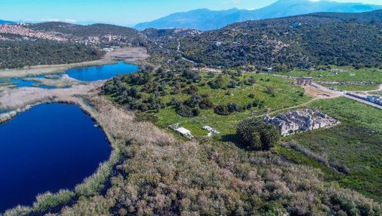 Leto Hurmalığı, Yunanistanda olsa hac yeri olurdu