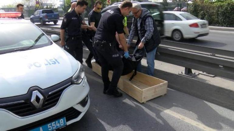 Bakırköyde bariyerlere çarpan motosiklet sürücüsü hayatını kaybetti