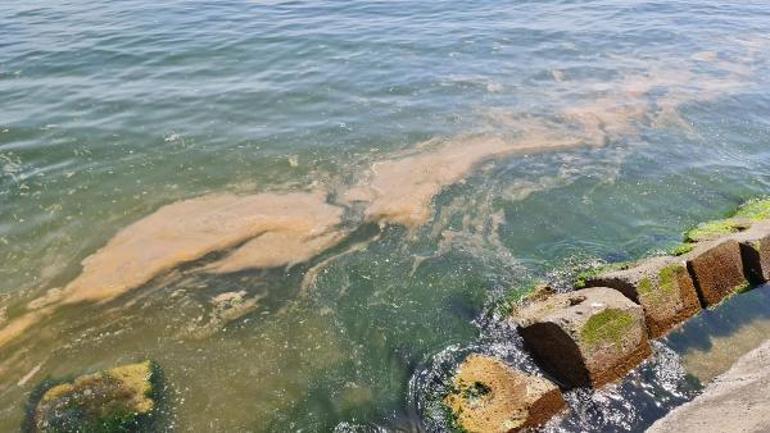 Kabus geri mi döndü Tedirgin eden görüntüye açıklama geldi