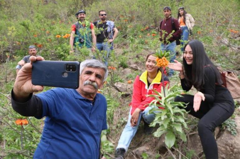 Taylandlı turistler, ters laleleri görmek için Hakkariye geldi