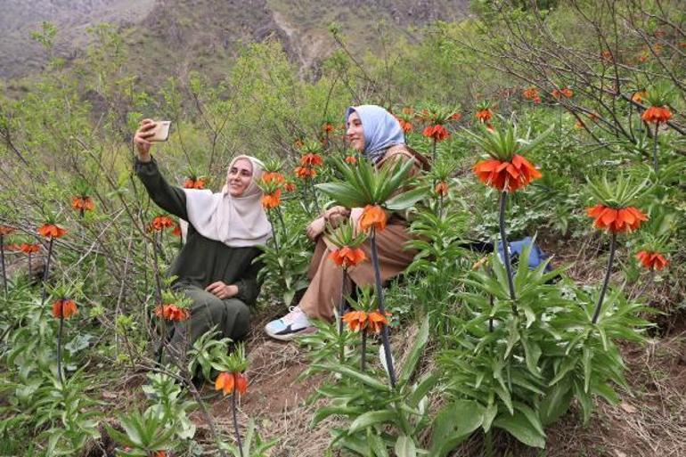 Taylandlı turistler, ters laleleri görmek için Hakkariye geldi