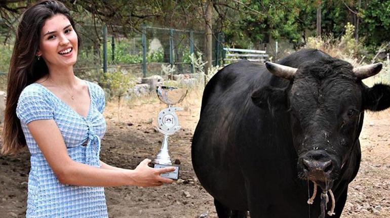 Fizyoterapist Sedefin boğa sevdası, kariyerinin önüne geçti