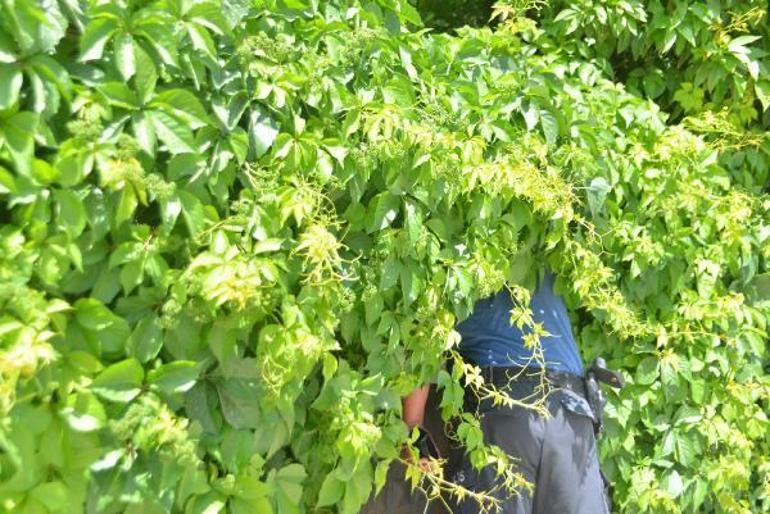 Polisler, ihbar üzerine gittikleri evde hiç ziyaretçisi olmayan kadını ağlarken buldu