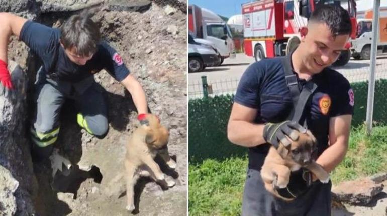 Yavrusu kurtarılana kadar başında bekledi