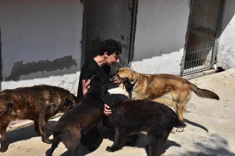 Can Bonomonun ablası Funda Bonomo, çiftliğinde 165 köpek ve 5 kedi ile yaşıyor