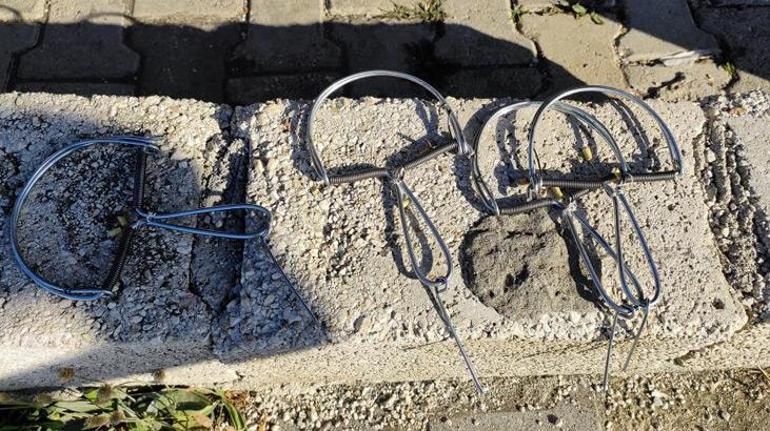 Hatayda kuş kapanları imha edildi