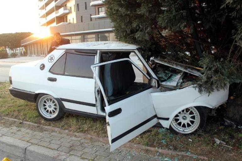 Otomobil refüjde ağaca çarptı; 1 ölü, 1 yaralı