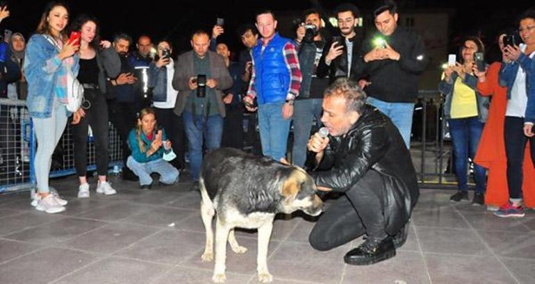 Haluk Levent sokak köpeğiyle yere uzanarak şarkı söyledi