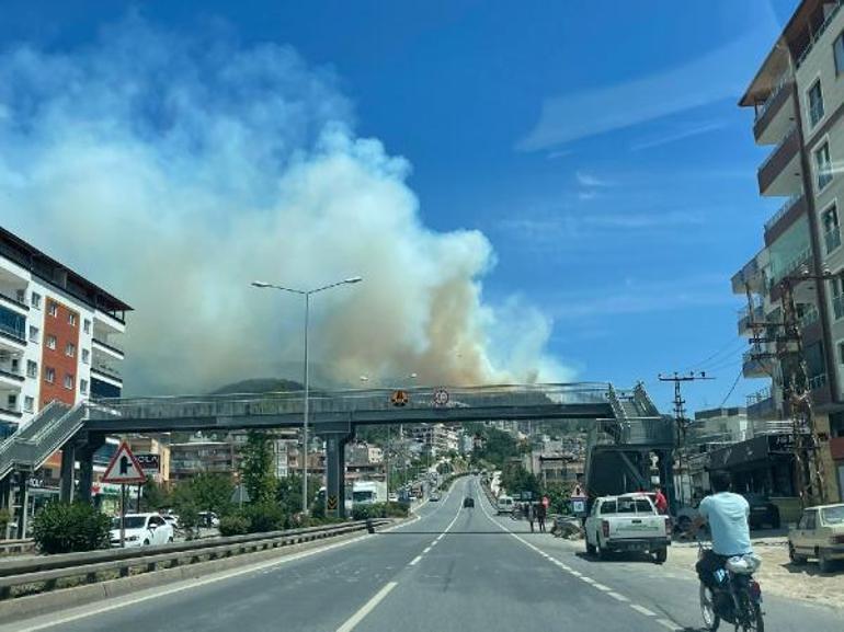 Hatayda orman yangını