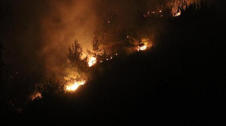 Alanya’da orman yangını 3 dekar alan zarar gördü