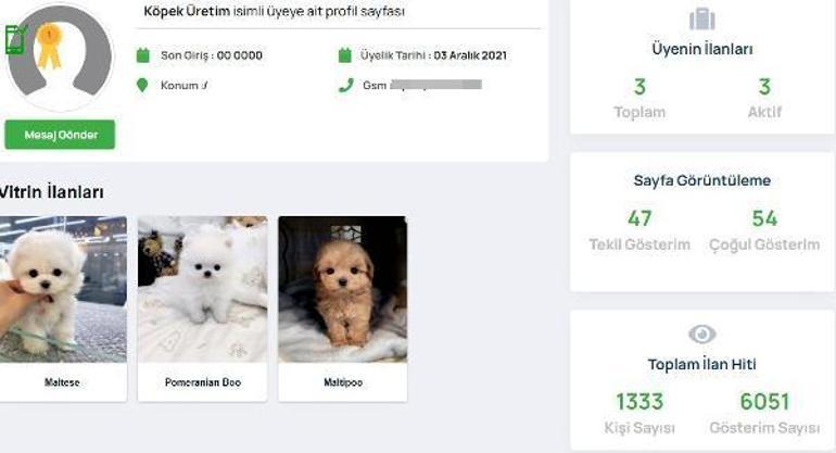 Köpek satış ilanıyla dolandırıcılık İkinci operasyon yapıldı