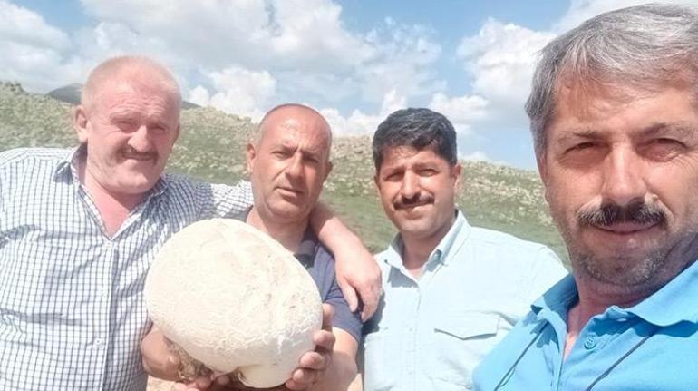 Niğde’de 3 kiloluk mantar bulundu