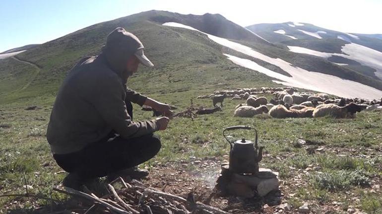 Muşun yayla ve meralarına göç sürüyor