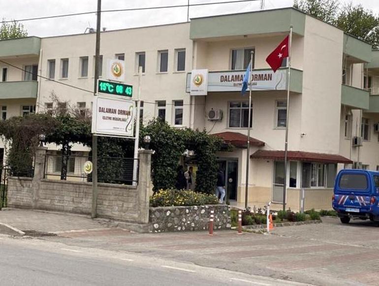 Orman vurgunu operasyonunda detaylar: Sahte vaziyet planı