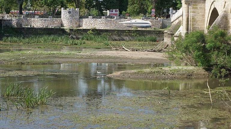 Tunca Nehri adeta bataklığa döndü