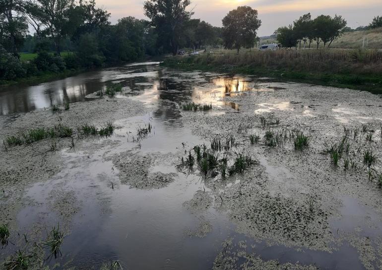 Tunca Nehri adeta bataklığa döndü