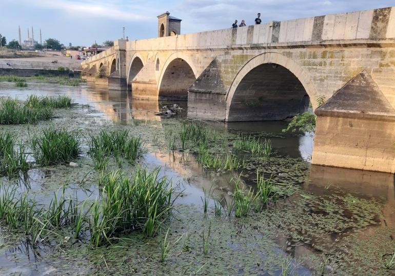 Tunca Nehri adeta bataklığa döndü