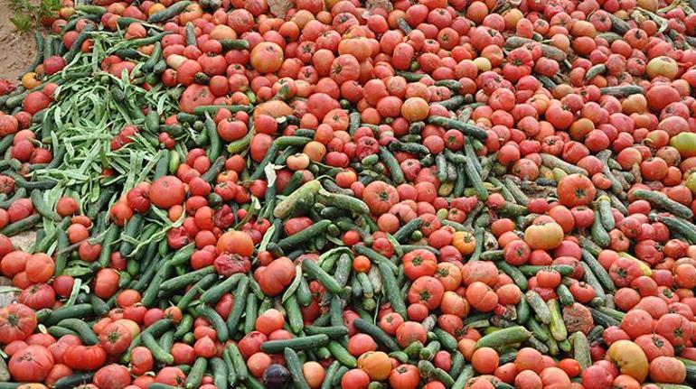 Antalyada çöpe dökülen sebzelerle ilgili flaş açıklama