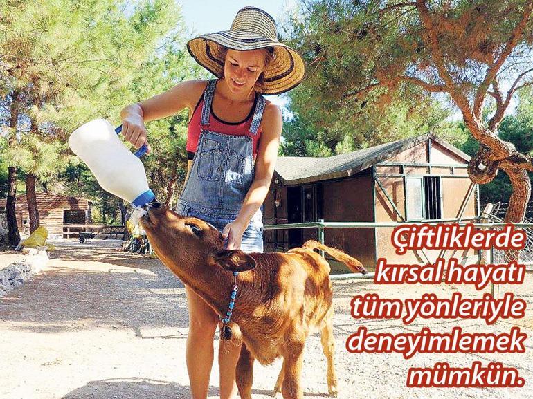 Dersimiz gönüllü çiftçilik