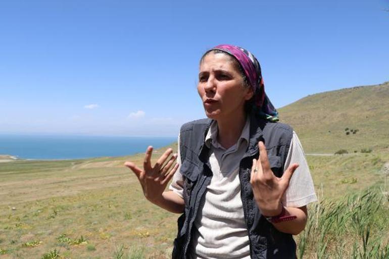 Vanda 5.0 büyüklüğündeki deprem sonrası uyardı: Acil olarak bu bölgede çalışma yapılmalı