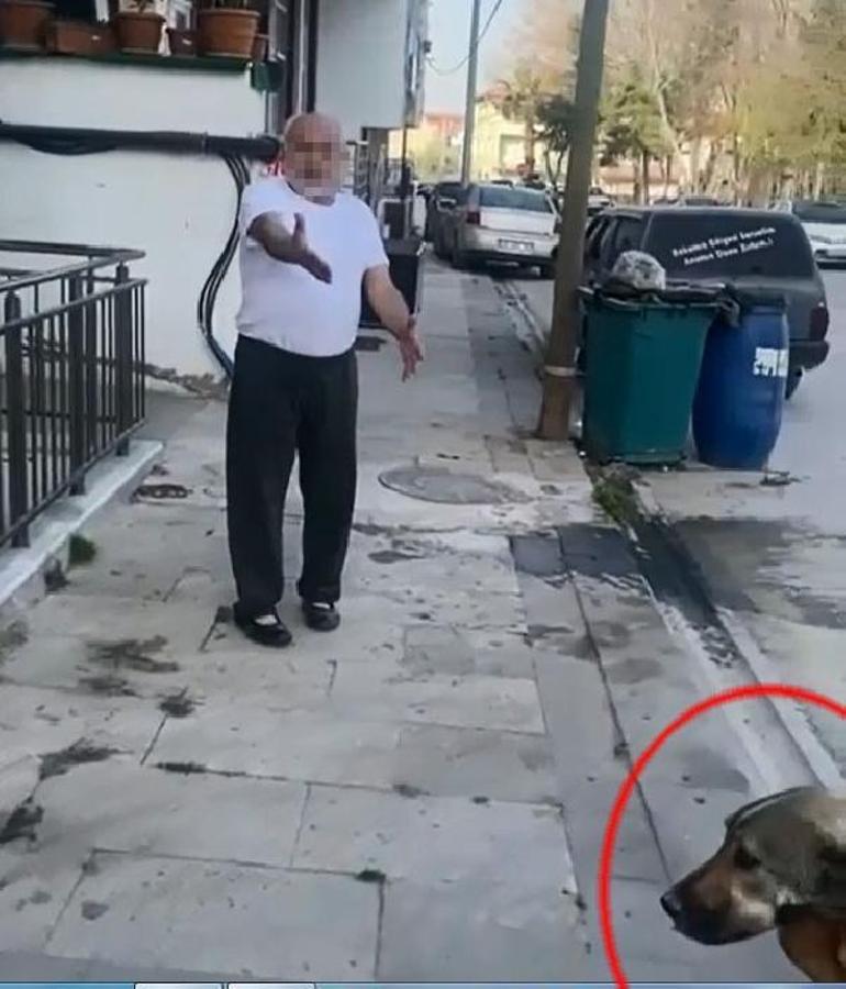 Daha önce tehdit ettiği komşunun köpeğini tüfekle öldürdü