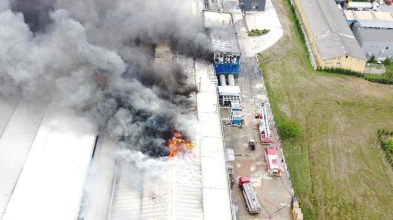 Kocaeli’de ilaç fabrikasında patlama sonrası yangın