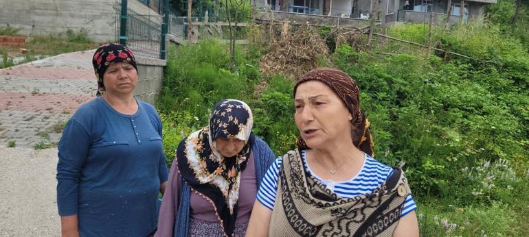 Bir mahalleyi ayı korkusu sardı: Evlerimizden çıkamıyoruz