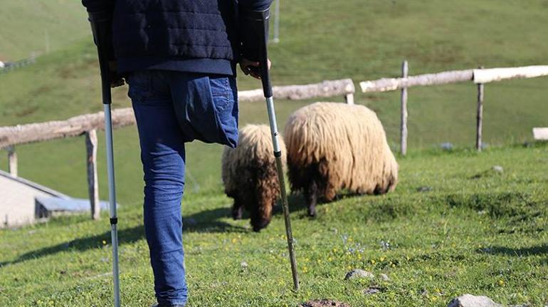 Gümüşhaneli çobanın duygulandıran hikayesi 26 yıldır tek bacağıyla hayvanlarını otlatıyor