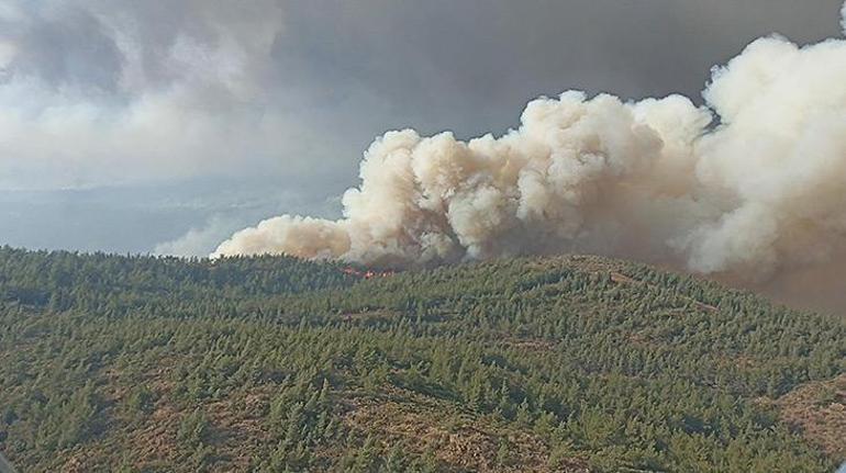 Prof. Dr. Yaşar: Kurak geçen kışın ardından orman yangını sayısı ciddi artıyor
