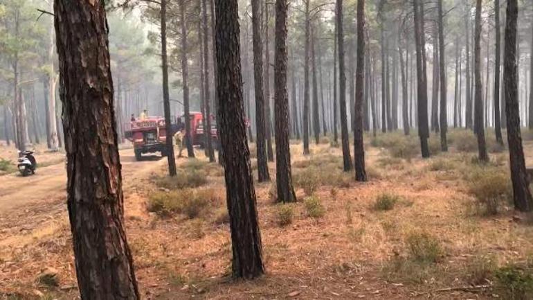 Marmaris yangınında alevlerin ilerlemesi, karşı ateşle önlenmiş