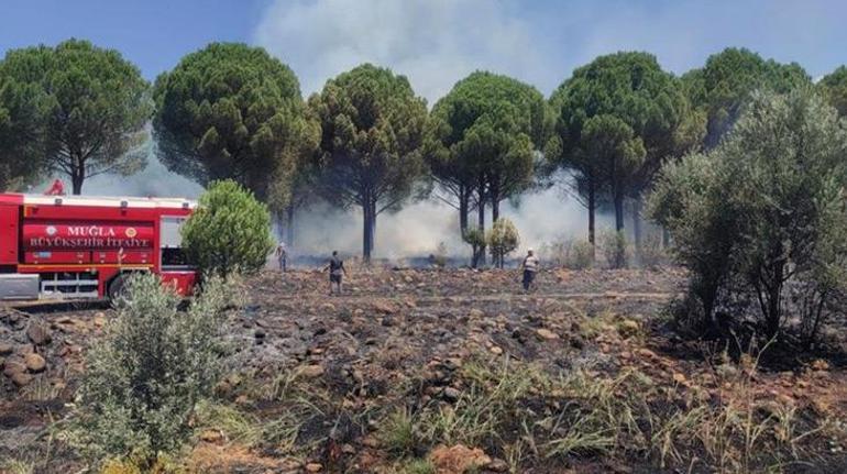 Köyceğiz’de orman yangını kısa sürede söndürüldü
