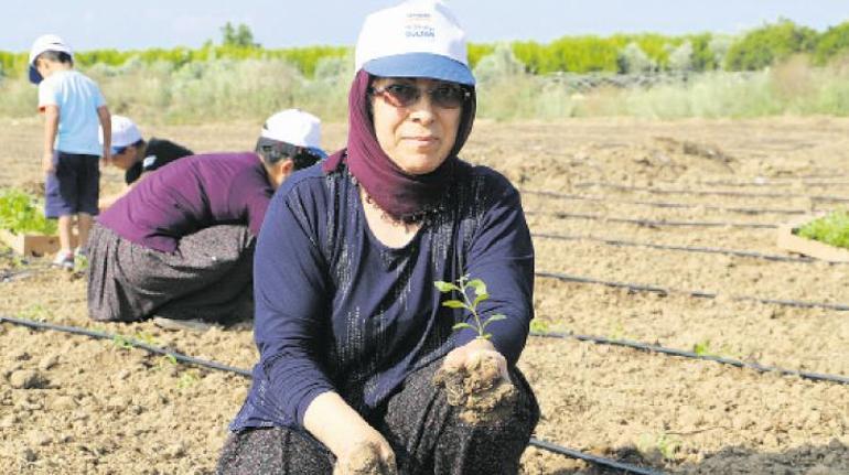 Çürüyen üst geçit çöktü çökecek