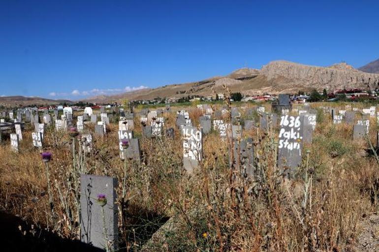 Vannın isimsiz 255 mezarı