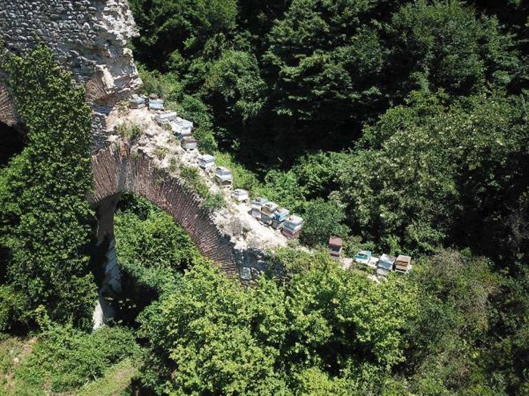 Tarihi su kemerini tahrip edip, üzerine kovanları koydular