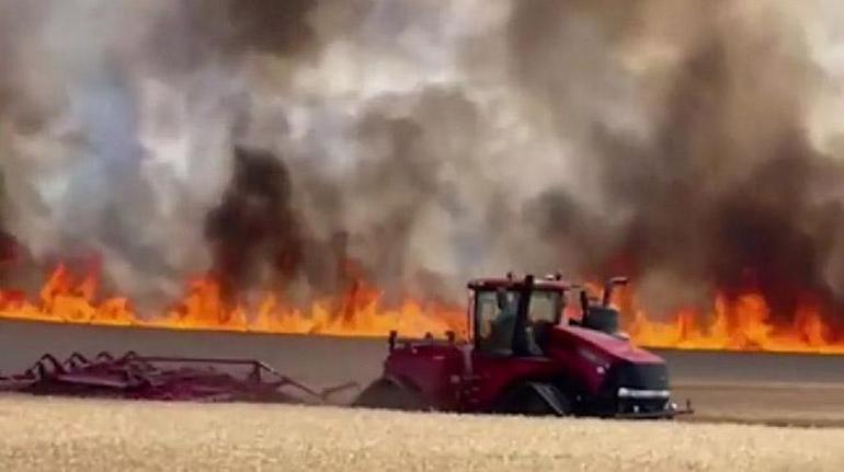 Romanyada buğday tarlası alev alev yandı