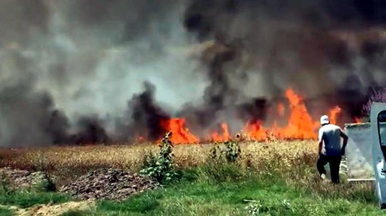 Kırklareli ve Tekirdağda buğday tarlaları yandı Görüntüler peş peşe paylaşıldı