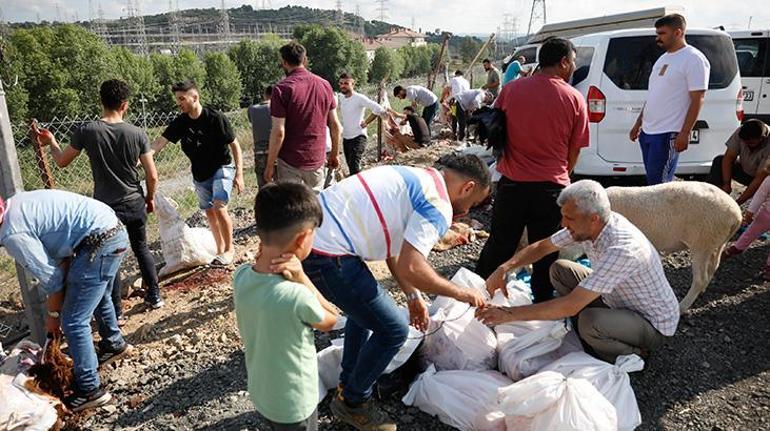 Sultangazide kaçak kesim yapan 130 kişiye ceza yağdı