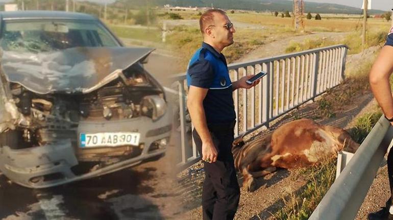 Kaçan kurbanlıklar kazaya neden oldu