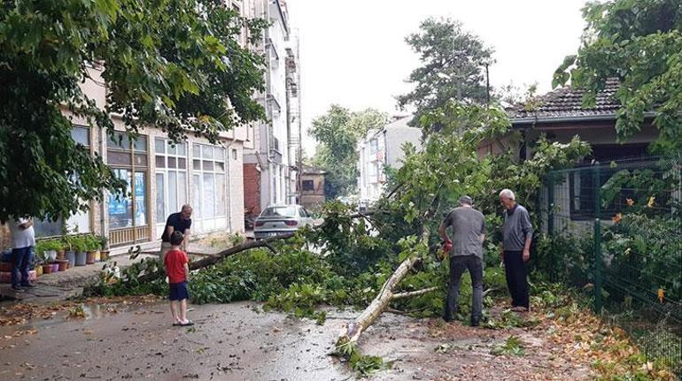 Bursayı sağanak vurdu Ağaçlar devrildi, cadde ve sokaklar suyla doldu