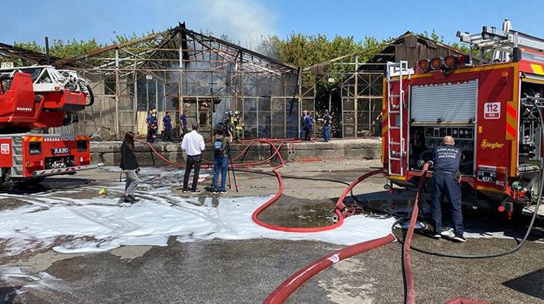 Ankara toptancı halinde yangın