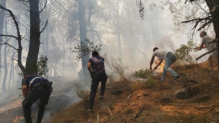 Son dakika | Datçadaki orman yangın kontrol altında