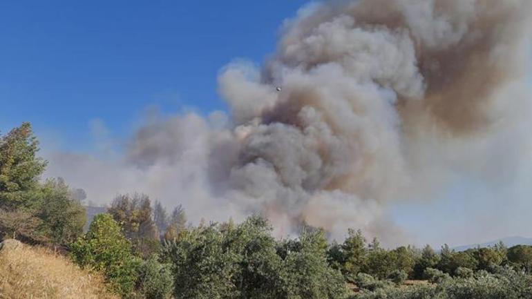 Peş peşe orman yangını haberleri Balıkesir, İzmir ve Aydında son durum